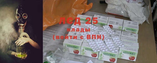прущие грибы Михайлов