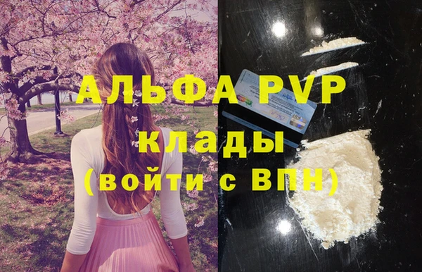 эйфоретик Чекалин
