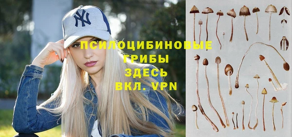 не бодяженный Михайловск